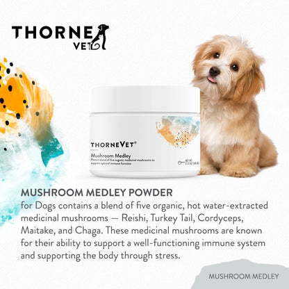 Mushroom Medley for Dogs - Immune Support Plus Antioxidants - with Reishi, Turkey Tail, Cordyceps, Maitake, and Chaga Mushrooms - Support for Dogs with Compromised Immunity - 120 Scoops