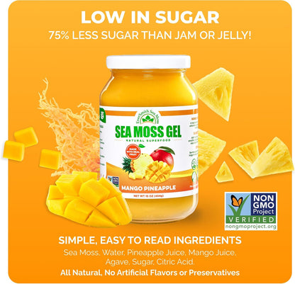 Wildcrafted Irish Sea Moss Gel, Mango Pineapple (454 g)