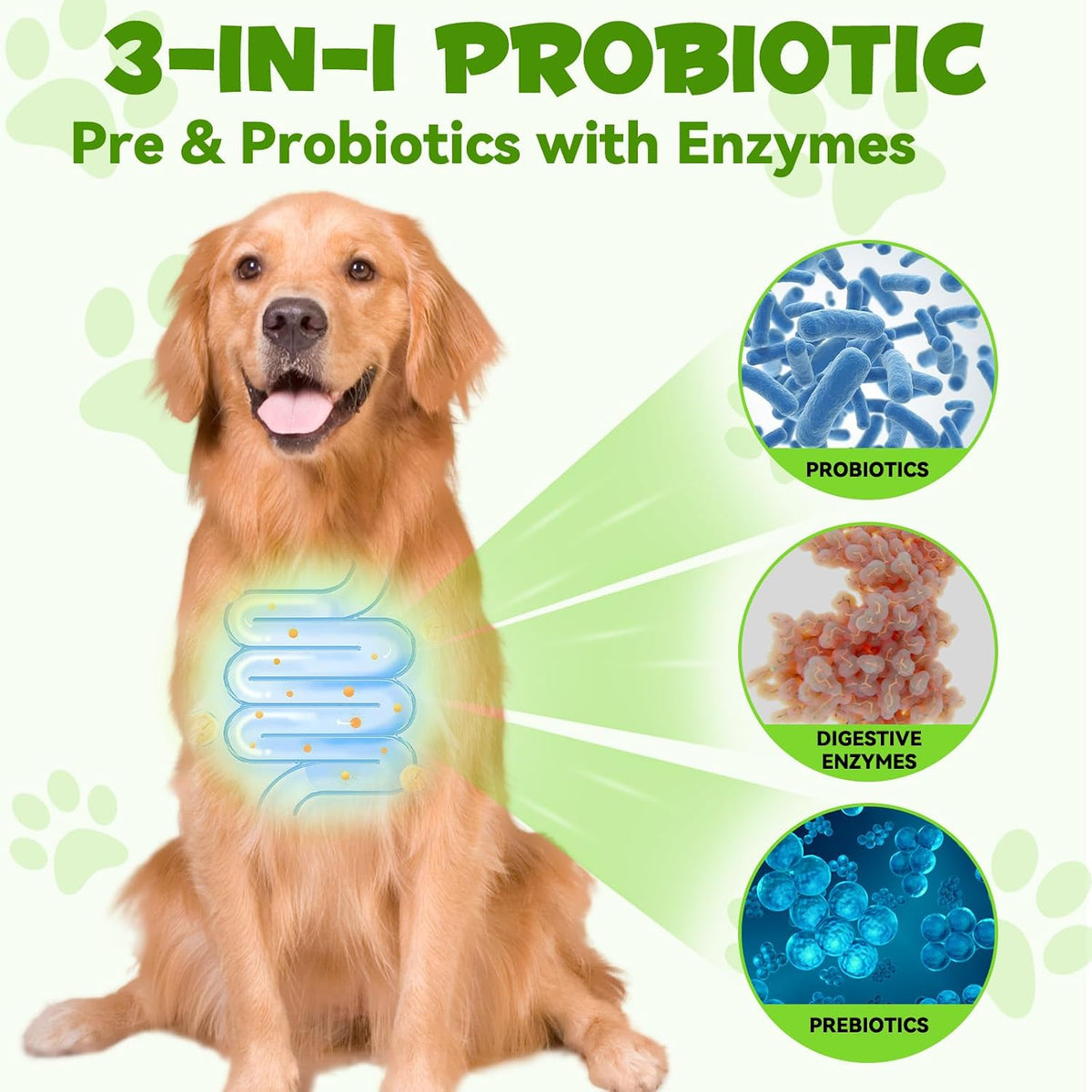 Liquid Dog Probiotic, Natural 3 in 1 Probiotic for Dogs, Digestive Support, Gut Health – 60ml - görsel 3