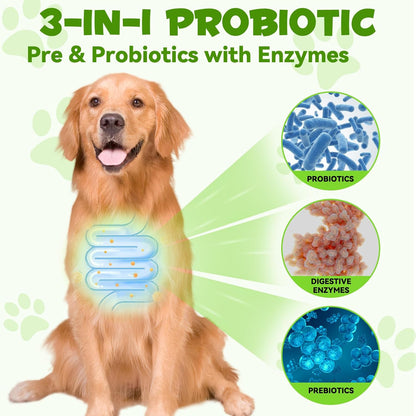 Liquid Dog Probiotic, Natural 3 in 1 Probiotic for Dogs, Digestive Support, Gut Health – 60ml