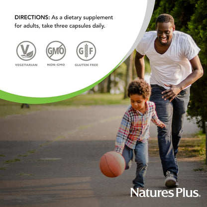 NaturesPlus BrainCeutix Multivitamin Capsules - Cognitive Support with B Vitamins & Minerals, 90 Capsules