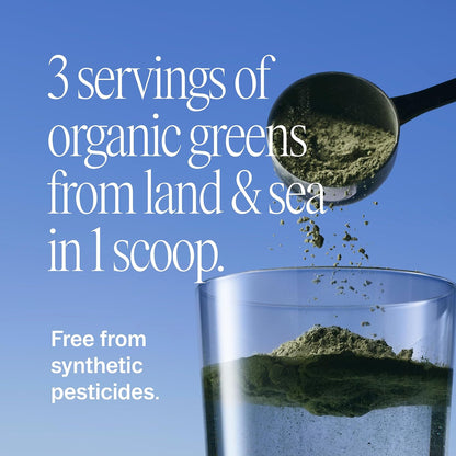 Ora Organic Greens Powder - Vegan, Gluten-Free, Organic Super Greens Drink for Energy & Detox, Citrus Flavour, 30 Servings