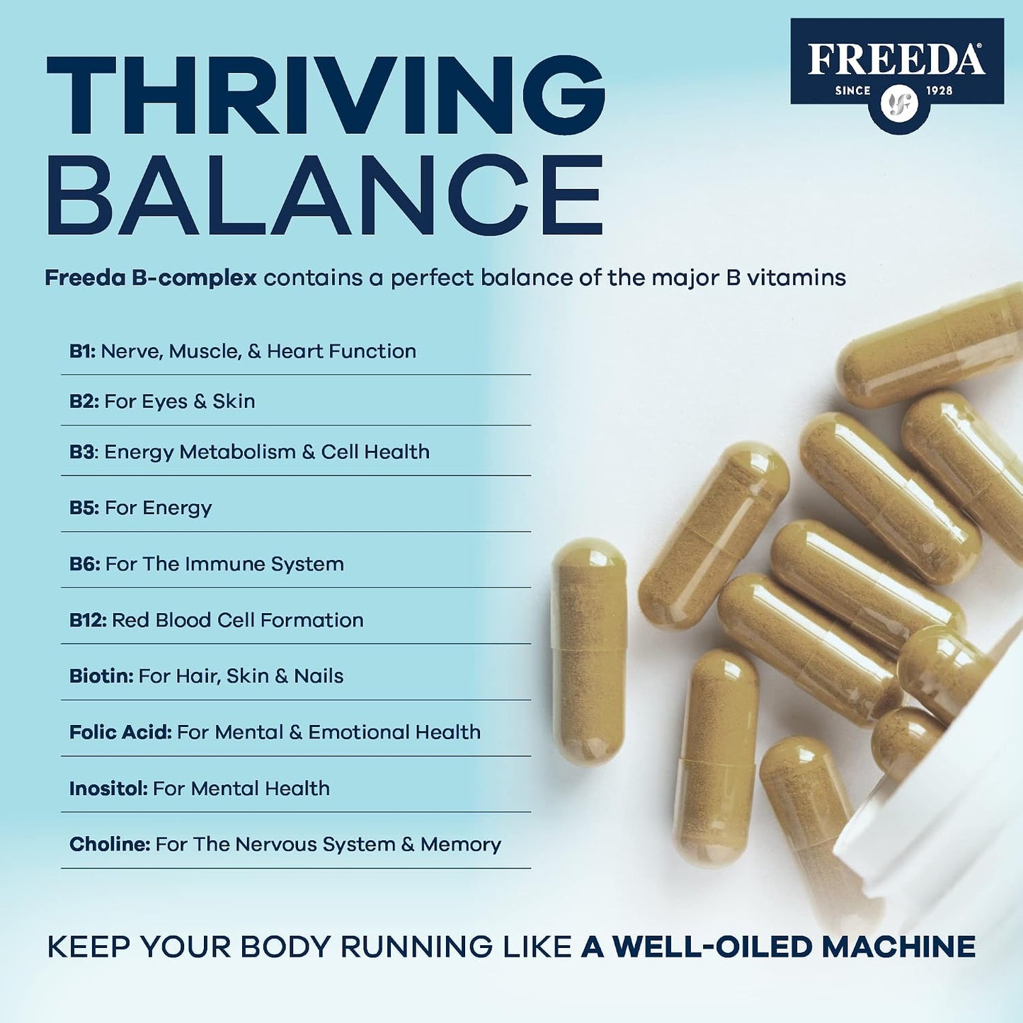 FREEDA Vitamin B-50 Complex – Super Quints B-Complex with B1, B2, B3, B5, B6, Biotin, Folate, B12, Choline & Inositol – Vegan, 100 Capsules - görsel 3