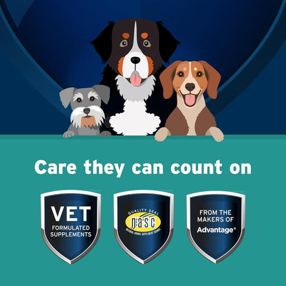 Pet Protect Whole Body Comfort+ Supplement for Dogs, Vet-Formulated Alenza, Chicken-Flavoured Soft Chews (60 Chews)