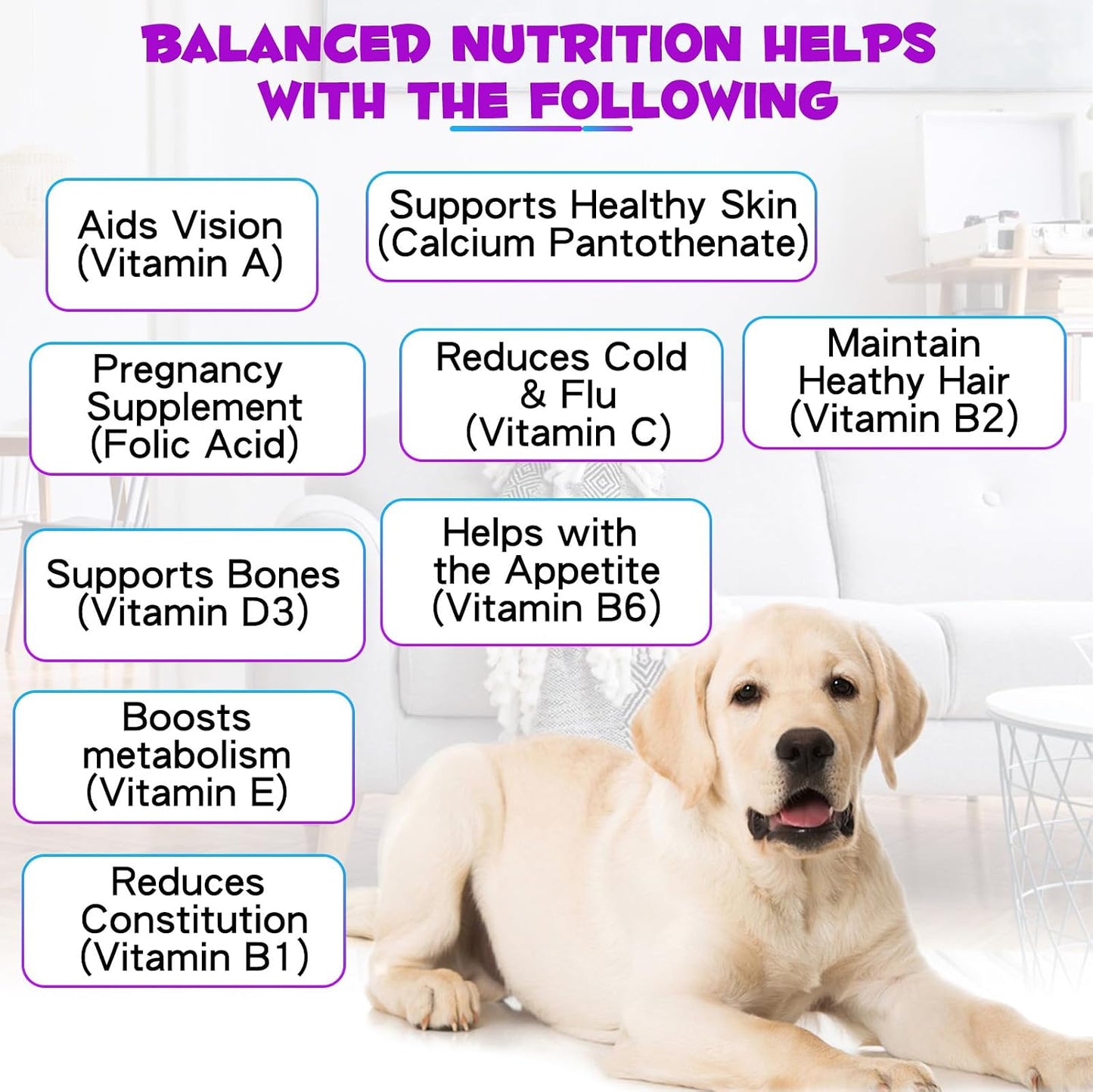 15-in-1 Dog Multivitamin Liquid - All-in-One Supplement for Digestive, Skin, Coat, Hip & Joint Support (60 ml) - görsel 9