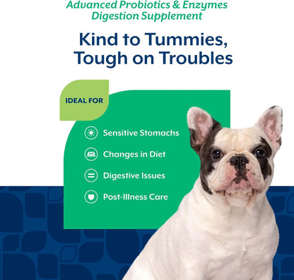 NaturVet Advanced Probiotics & Enzymes, PB6 Dog Soft Chews - Hickory Smoked Bacon Flavour, 240 Count