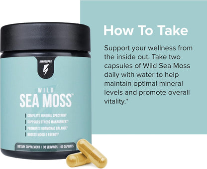 InnoSupps Wild Sea Moss Capsules - Immune Support Food Supplement for Vitality and Gut Health - Daily Minerals for Men and Women (30 Servings)