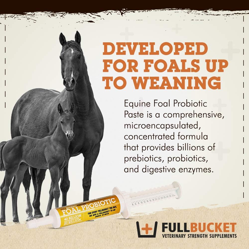 Health Foal Probiotic Paste, Natural Nutritional Supplement, 32.5 gram Tube - görsel 2