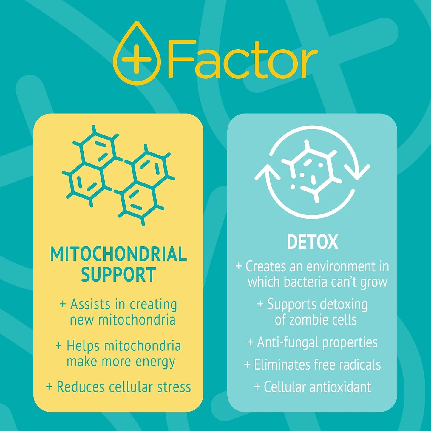Plus Factor Cellular Boost Complex – 3% USP Grade Methylene Blue & Silver Nano Particles – Brain Focus & Improved Memory – Mitochondria Booster – Boost Oxygen – Produce More Energy - görsel 4