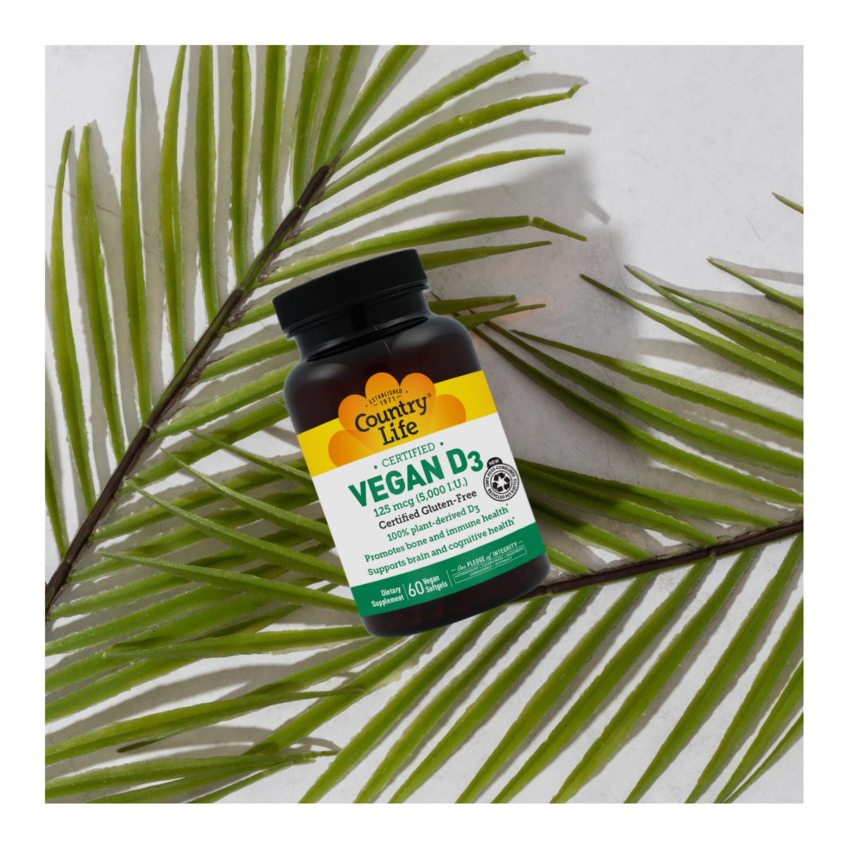 Country Life Vegan D3 5000 IU – Plant-Derived Vitamin D3 from Lichen – 60 Softgels - görsel 9