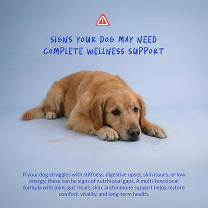 Multivitamin for Dogs 120 Tablets - Glucosamine, Fish Oil & CoQ10