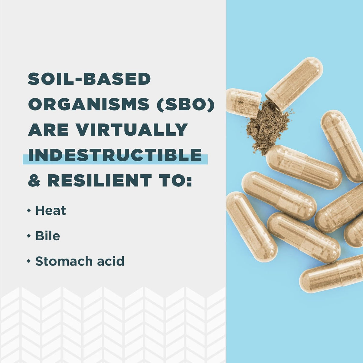 Ancient Nutrition SBO Probiotics Gut Restore - 60 Capsules - görsel 3