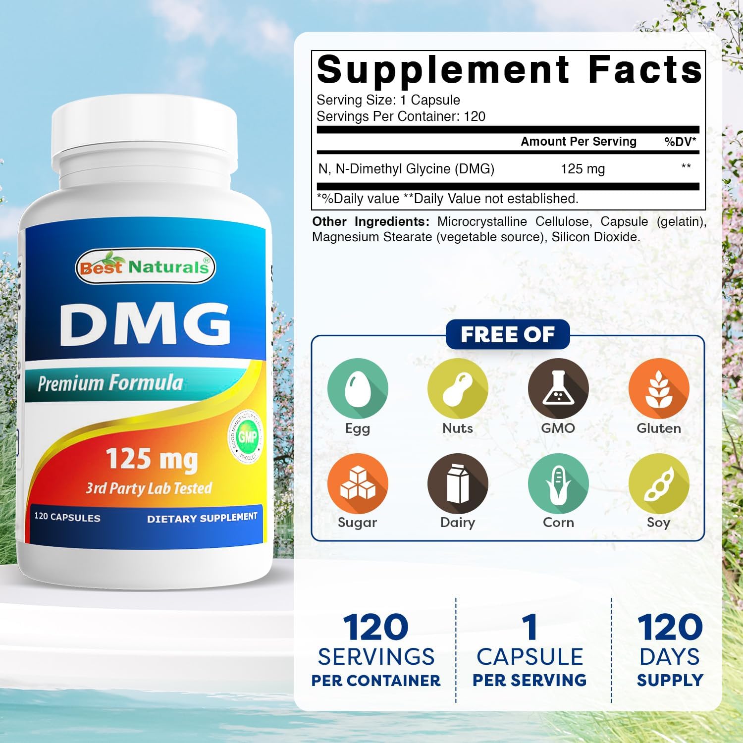Best Naturals DMG 125 mg 120 Capsules - görsel 2