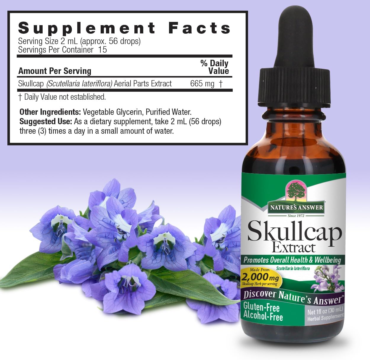 Nature's Answer Alcohol-Free Skullcap Herb Supplement, 30 ml - görsel 3