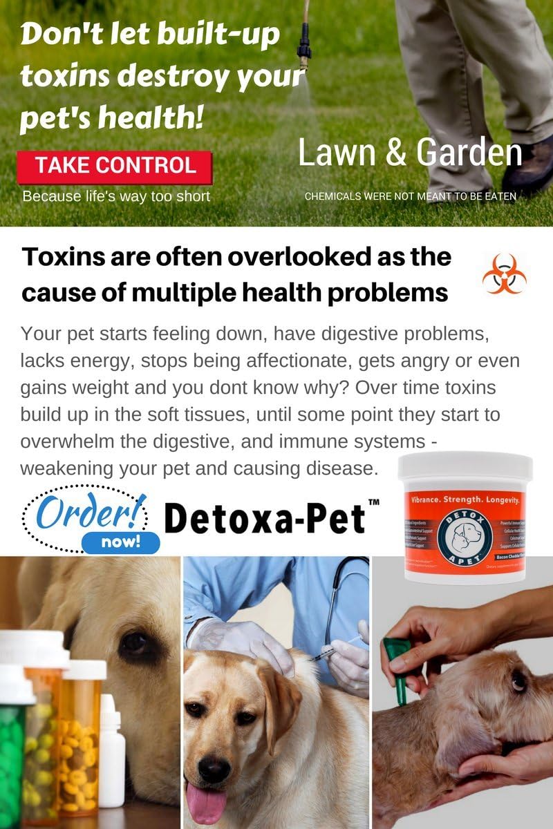 DETOXA-PET Powder - Nutritional Supplement for Dogs & Cats with 10 Billion CFU Probiotics, Enzymes, Herbs, Vitamins, and Minerals - görsel 2