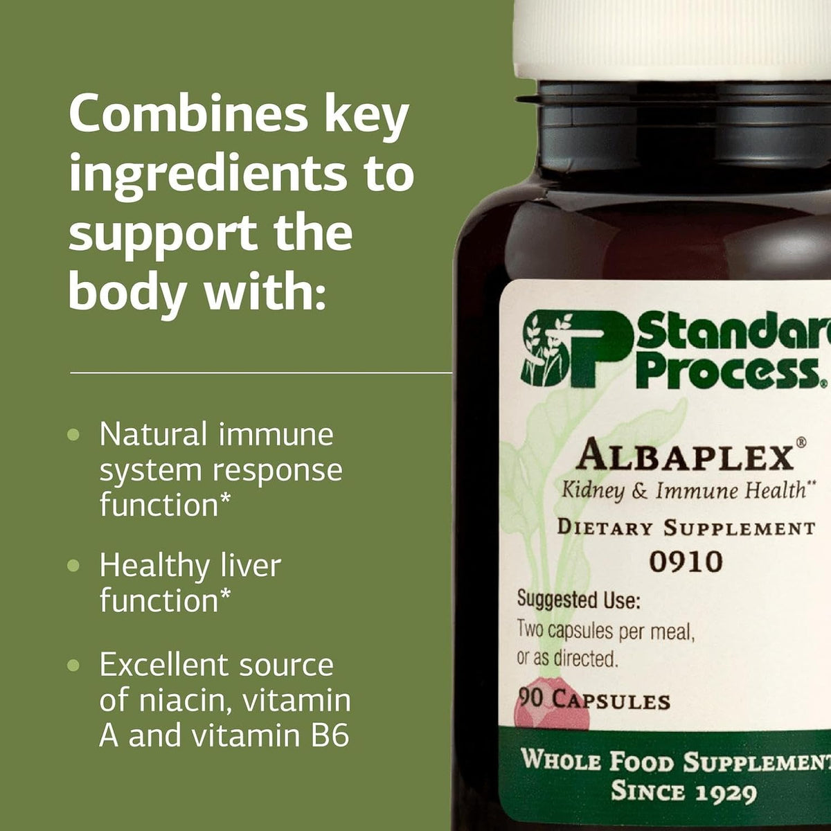 Standard Process Albaplex – Liver & Immune Health Food Supplement, 90 Capsules - görsel 4