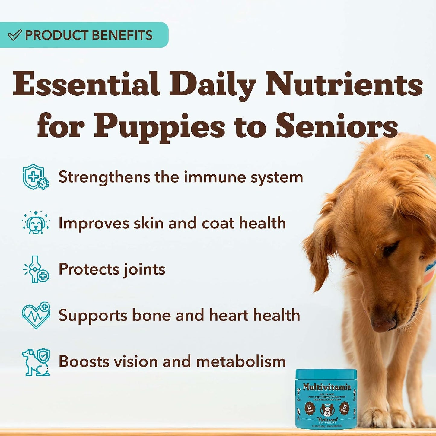 Natural Dog Company 25-in-1 Multivitamin for Dogs – Vet-Formulated Soft Chews for Puppies, Adults & Seniors, Supports Joints, Skin, Coat, Immune & Heart Health, NASC Certified, 90 Count - görsel 2