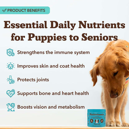 Natural Dog Company 25-in-1 Multivitamin for Dogs – Vet-Formulated Soft Chews for Puppies, Adults & Seniors, Supports Joints, Skin, Coat, Immune & Heart Health, NASC Certified, 90 Count