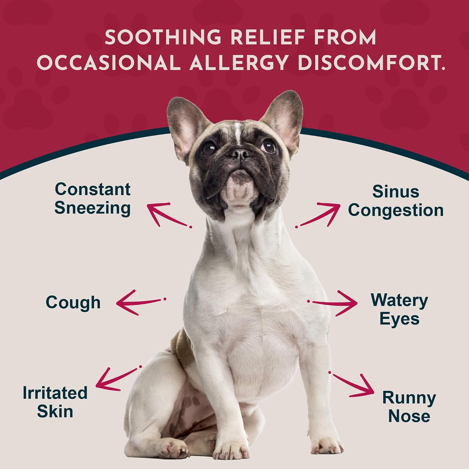 Animal Essentials Seasonal Allergy Herbal Support for Dogs & Cats - Organic Liquid Tincture, 60 ml - görsel 2
