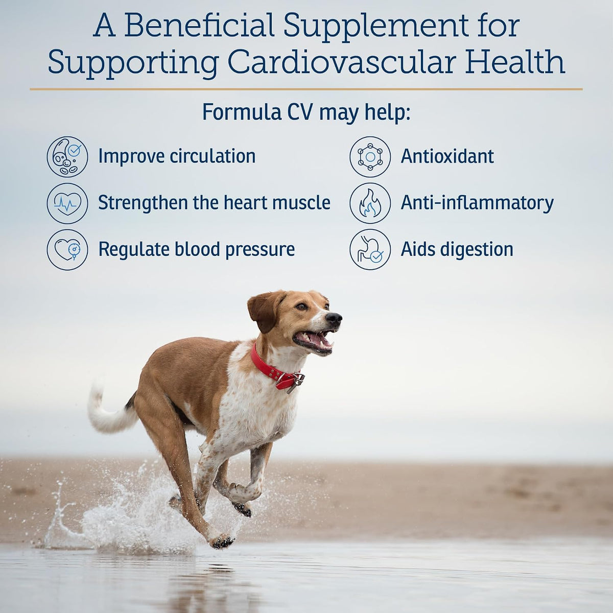 Rx Vitamins Formula CV - Hawthorn Berry Capsules with Taurine for Dogs & Cats - Heart Health Supplement with Magnesium and Potassium - 90 Capsules - görsel 4