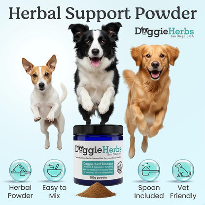 Advanced Ligament and Tendon Support – CCL, ACL and Cruciate Injury Recovery, Strain and Mobility Formula – TCM Doctor Formulated Powder with Teasel, Drynaria and Eucommia for Soft Tissue Strength