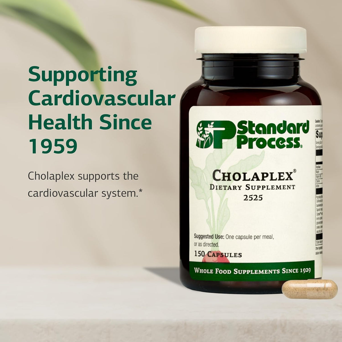 Standard Process Cholaplex - 150 Capsules - görsel 3