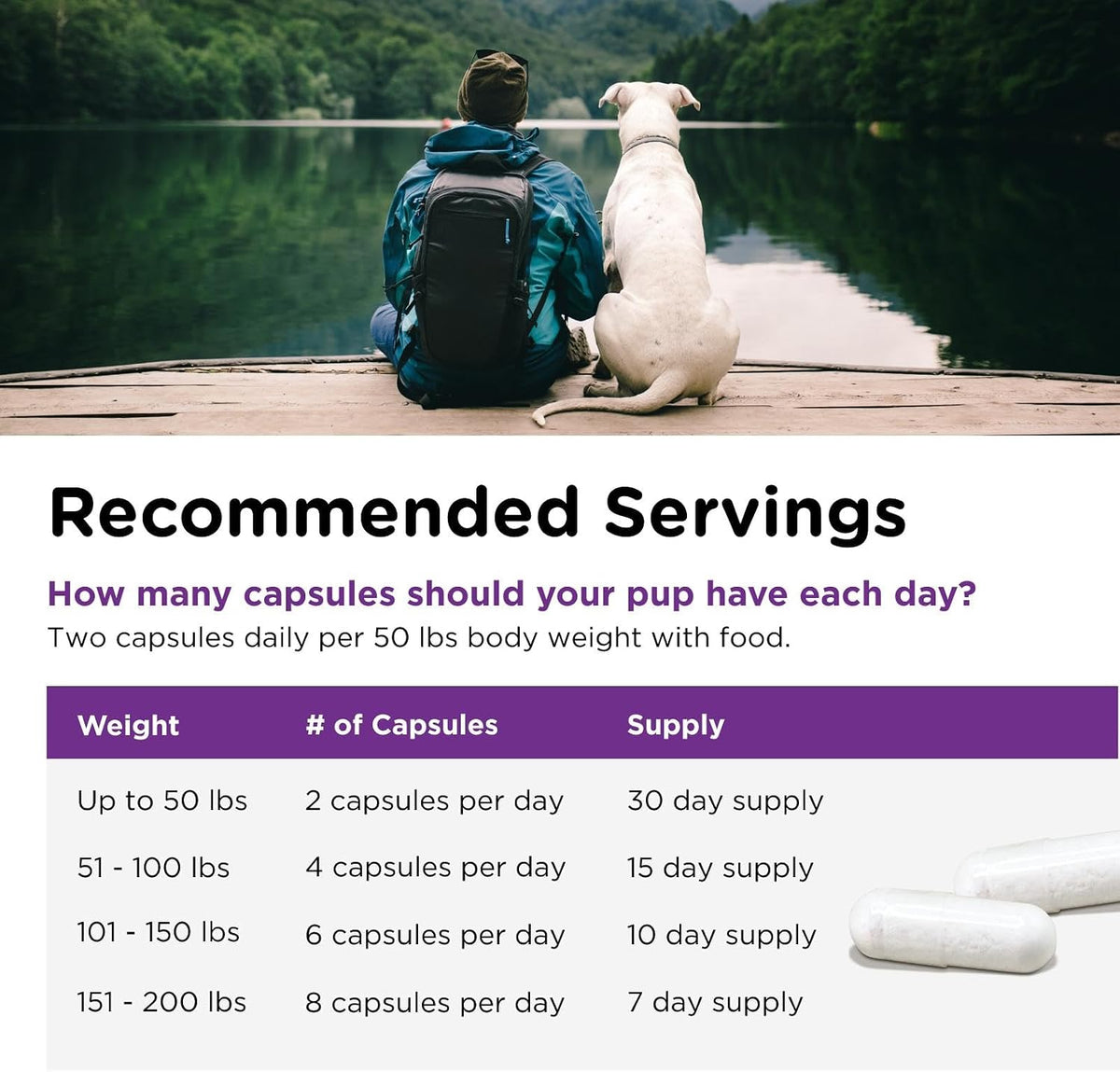 Nutri-Vet Probiotics for Dogs - Digestive Health & Immune Support, Vet-Formulated, 60 Capsules - görsel 5
