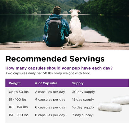Nutri-Vet Probiotics for Dogs - Digestive Health & Immune Support, Vet-Formulated, 60 Capsules