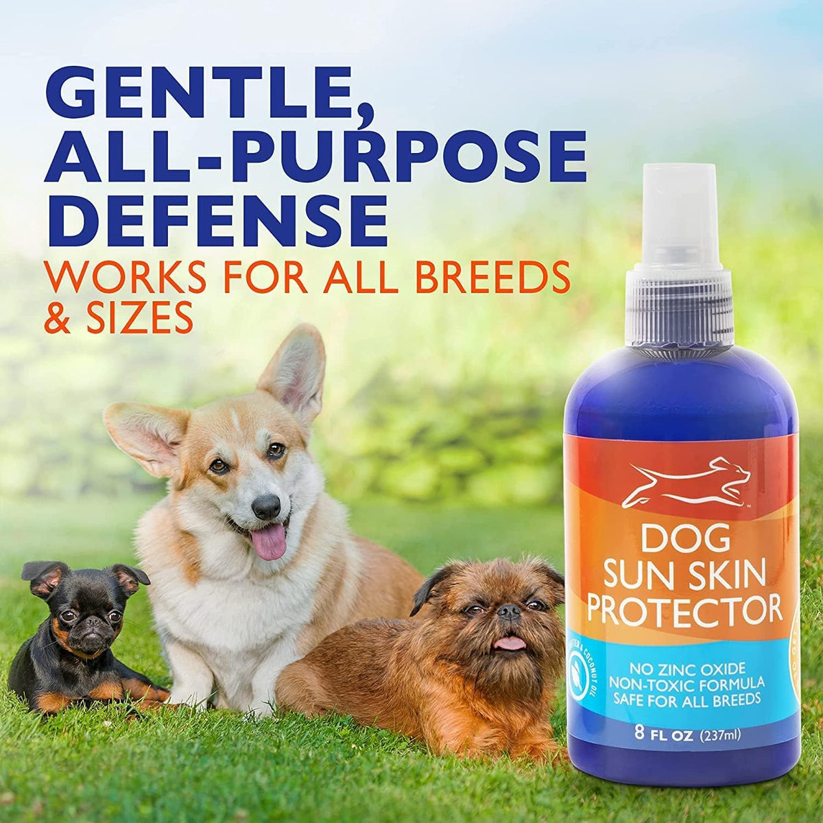 EBPP Dog Sunscreen Sun Skin Protector Spray 240 ml - Safe for All Breeds with No Zinc Oxide - Pet Protection and Moisturiser for Skin, Coat, Nose, Ears - görsel 2
