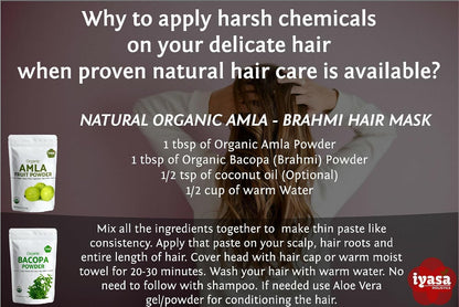 Iyasa Holistics Organic Amla Powder 454g (16 oz) - USDA Certified Organic Indian Gooseberry Superfood
