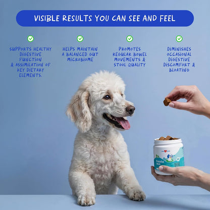 Probiotics for Dogs 90 Soft Chews – Digestive, Gut & Diarrhoea