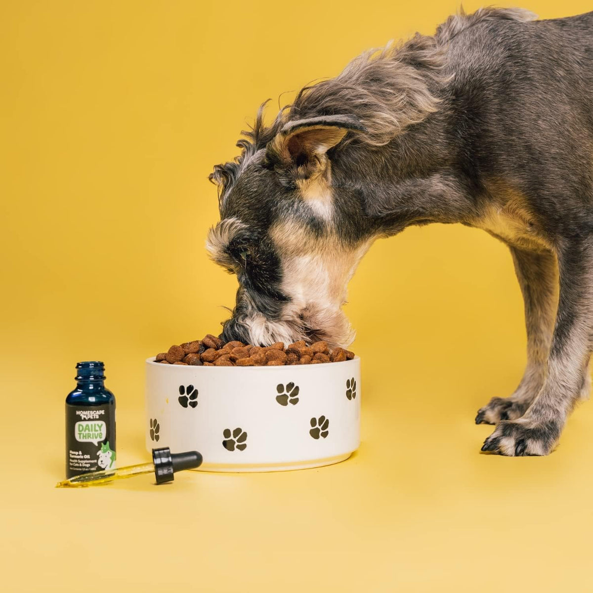 Homescape Pets Daily Thrive Hemp Oil & Turmeric for Cats and Dogs - görsel 5