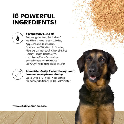 Vitality Science Celloquent for Dogs – Enhanced Immune Support, Gut Health and Organ Function, 120g