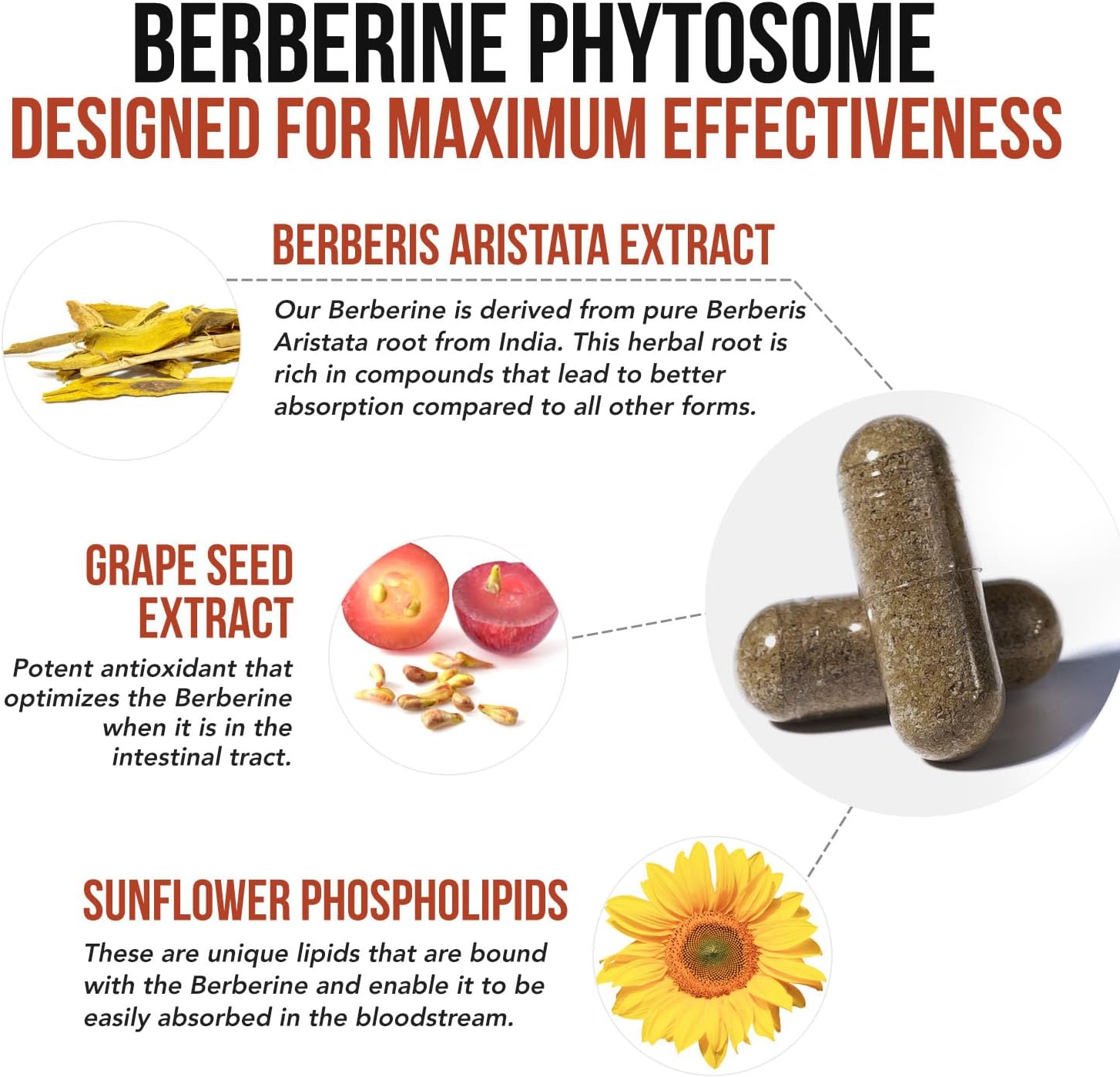 SoActive Berberine 550mg – Optimised Phytosome for Enhanced Absorption | Supports Metabolism & AMPK Activation | Non-GMO, Soya-Free | 60 Capsules - görsel 4