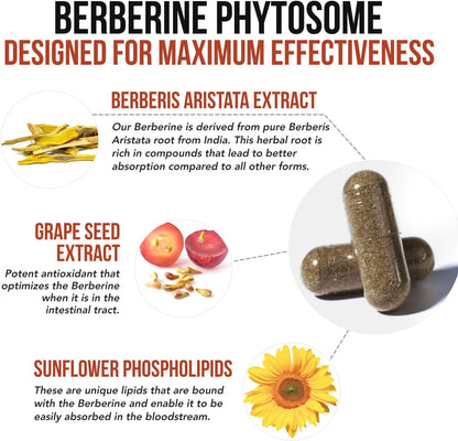 SoActive Berberine 550mg – Optimised Phytosome for Enhanced Absorption | Supports Metabolism & AMPK Activation | Non-GMO, Soya-Free | 60 Capsules