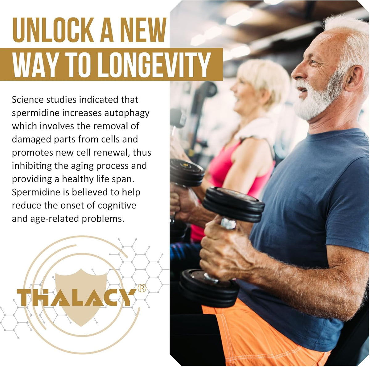 Thalacy Spermidine 13mg + Zinc – Wheat Germ Extract Capsules for Healthy Ageing & Cell Renewal, 60 Count - görsel 7