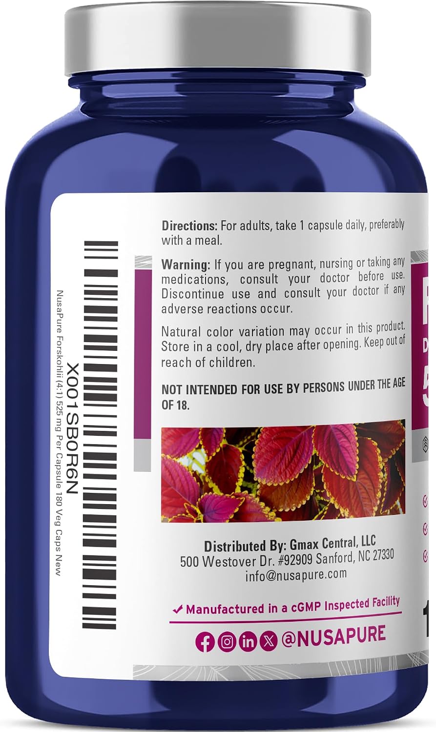 NusaPure Forskohlii Capsules, 525 mg, 180 Vegan Capsules (Non-GM, Vegan) - görsel 3