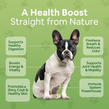 Dog Greens Superfood Supplement for Dogs (12 oz / 340 g) – Organic Human-Grade Ingredients
