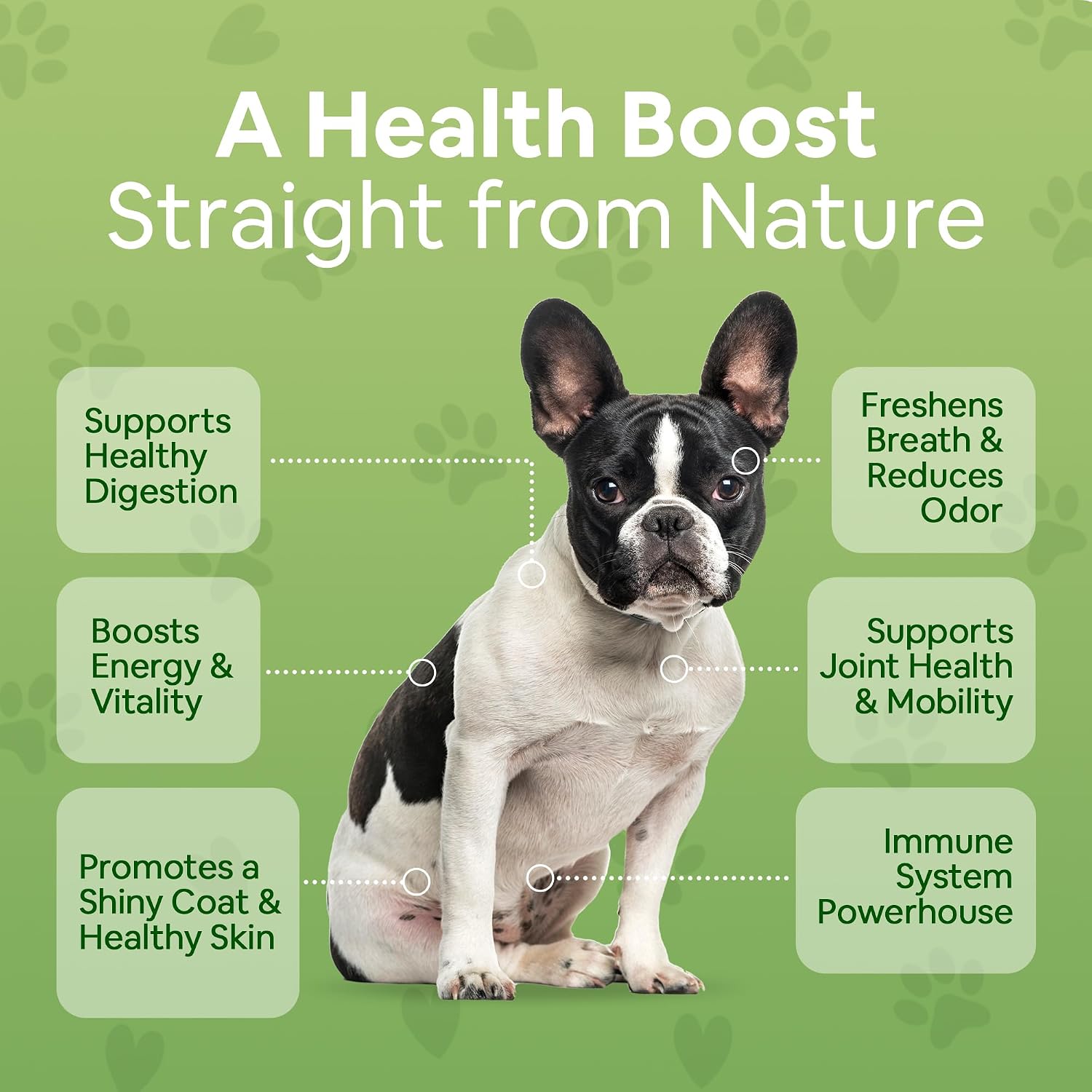 Organic Dog Multivitamin Supplement (340 g, 2 Pack) - Dog Greens Powder, Human Grade Superfoods - görsel 4