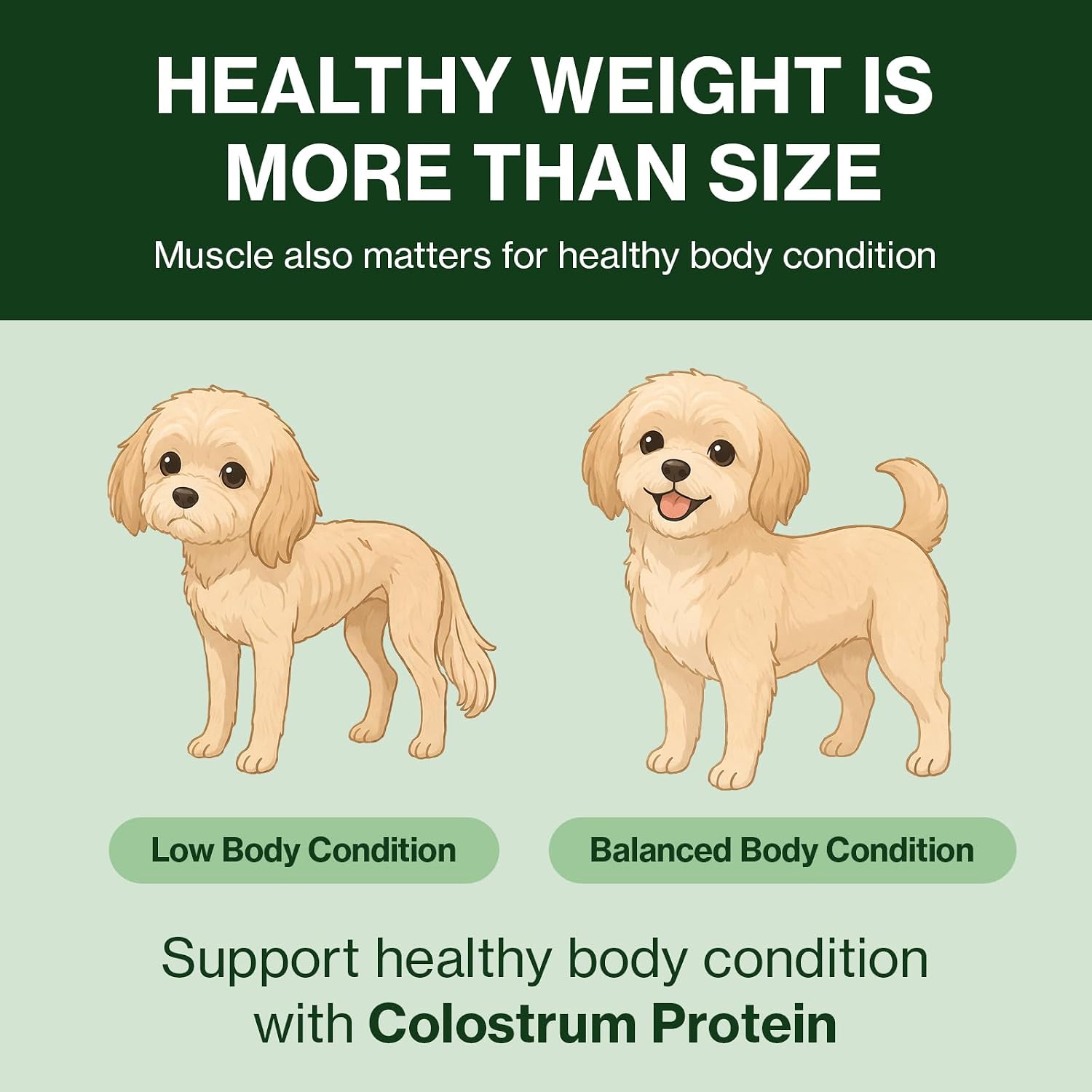 Doctor By Colostrum Protein for Dogs and Puppy – Weight Gain Supplement for Dog - Muscular Strength and Immune System Support with Colostrum, Whey Protein Isolate, Goat Milk – 30 Tubes - görsel 6