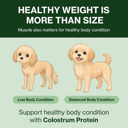 Doctor By Colostrum Protein for Dogs and Puppy – Weight Gain Supplement for Dog - Muscular Strength and Immune System Support with Colostrum, Whey Protein Isolate, Goat Milk – 30 Tubes