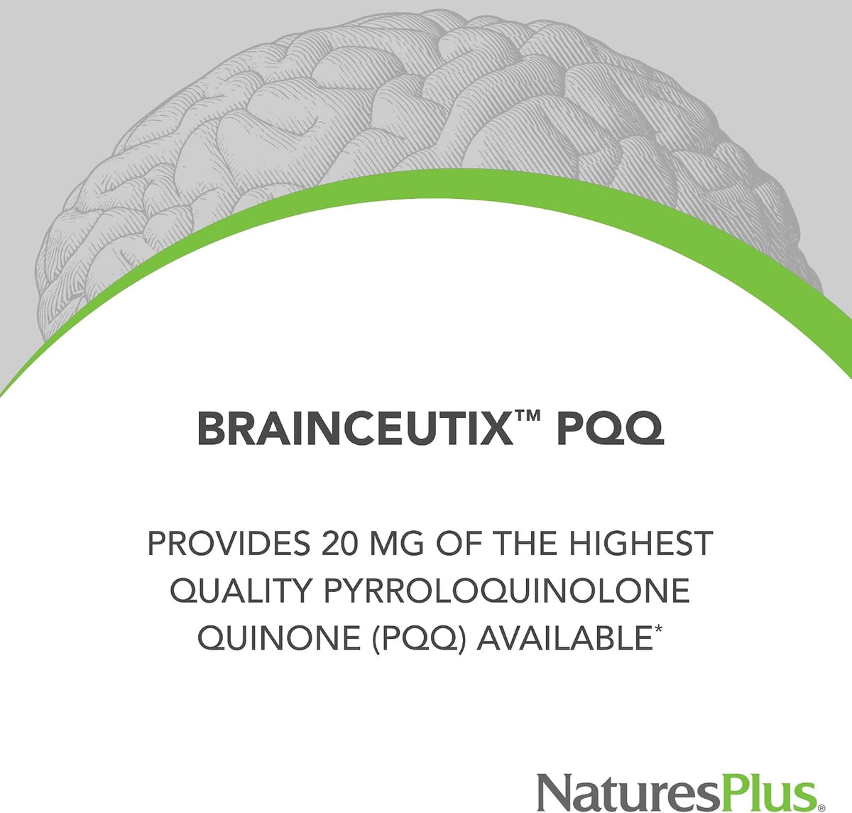 NaturesPlus Brainceutix PQQ – 60 Vegan Capsules – Pyrroloquinoline Quinone Supplement for Memory, Clarity & Brain Power - görsel 2
