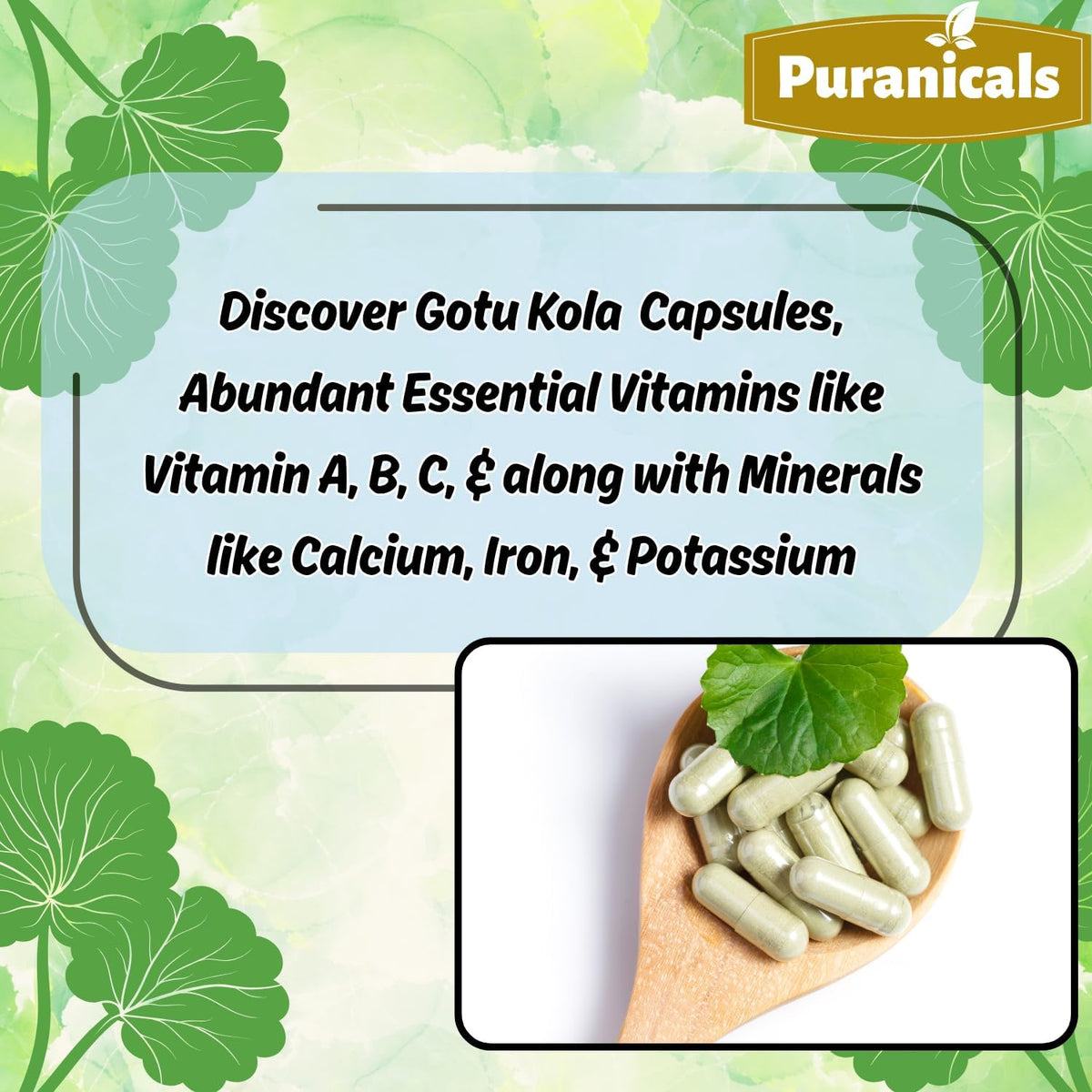 Gotu Kola Premium 320 Capsules – Non-GMO and Gluten-free | Herbal Supplement | 600 mg Per Serving | Made with 100% Pure Gotu Kola Powder - görsel 5