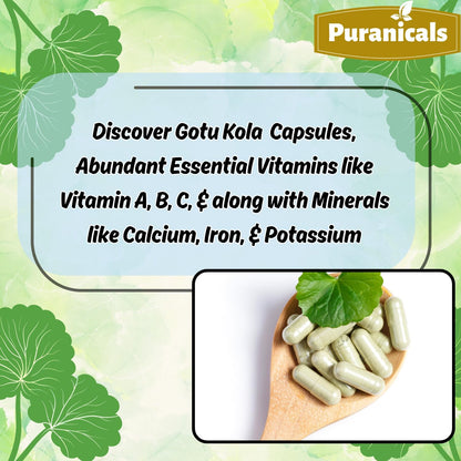 Gotu Kola Premium 320 Capsules – Non-GMO and Gluten-free | Herbal Supplement | 600 mg Per Serving | Made with 100% Pure Gotu Kola Powder