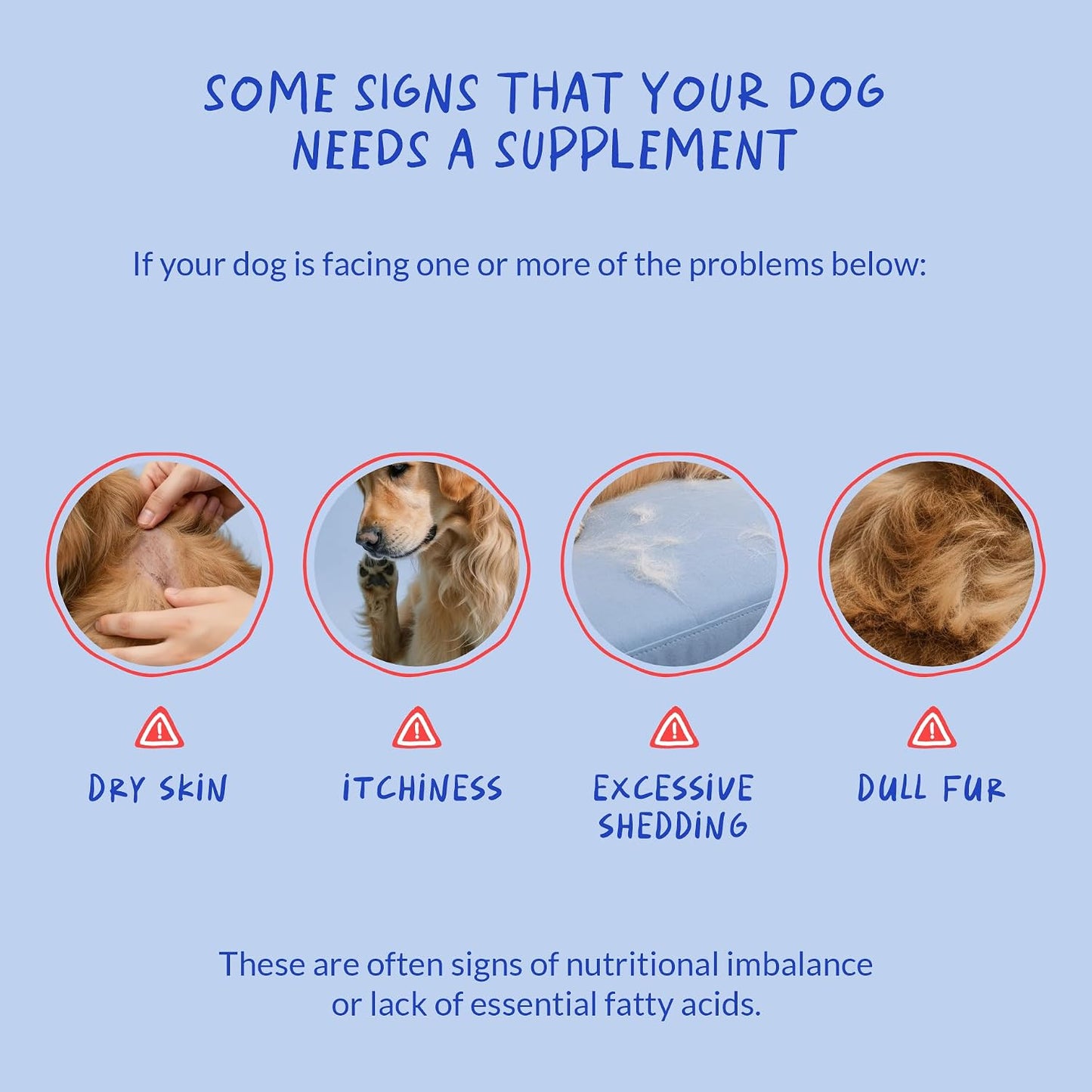 Omega 3 Fish Oil for Dogs - with Omega 3, 6, and 9, Vitamin E for Dog Moulting, Itchy, Dry Skin, Joint & Heart Support (Soft Chews) - görsel 5