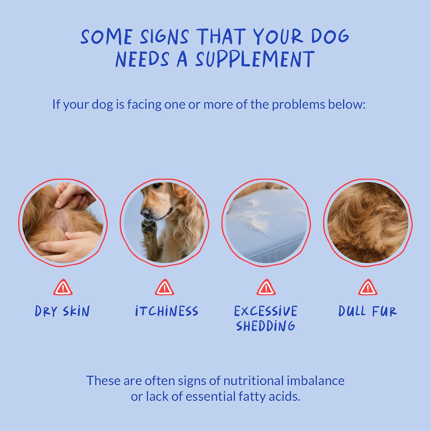 Omega 3 Fish Oil for Dogs - with Omega 3, 6, and 9, Vitamin E for Dog Moulting, Itchy, Dry Skin, Joint & Heart Support (Soft Chews) - görsel 5
