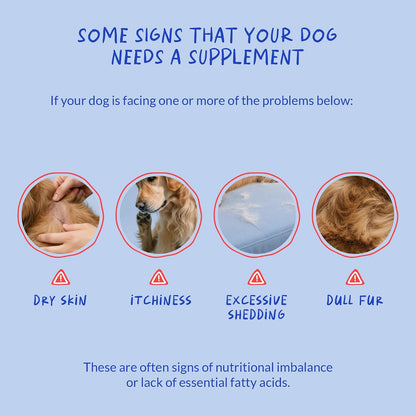 Omega 3 Fish Oil for Dogs - with Omega 3, 6, and 9, Vitamin E for Dog Moulting, Itchy, Dry Skin, Joint & Heart Support (Soft Chews)