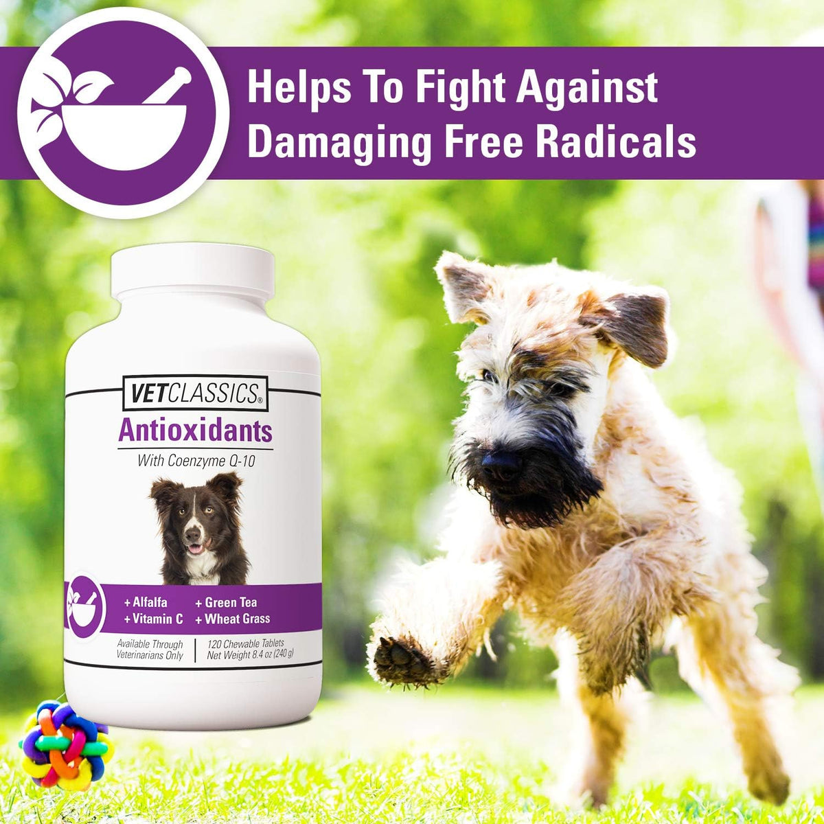 Vet Classics Coenzyme Q-10 Antioxidant Dog Supplement – Chewable Tablets for Canine Health - görsel 3