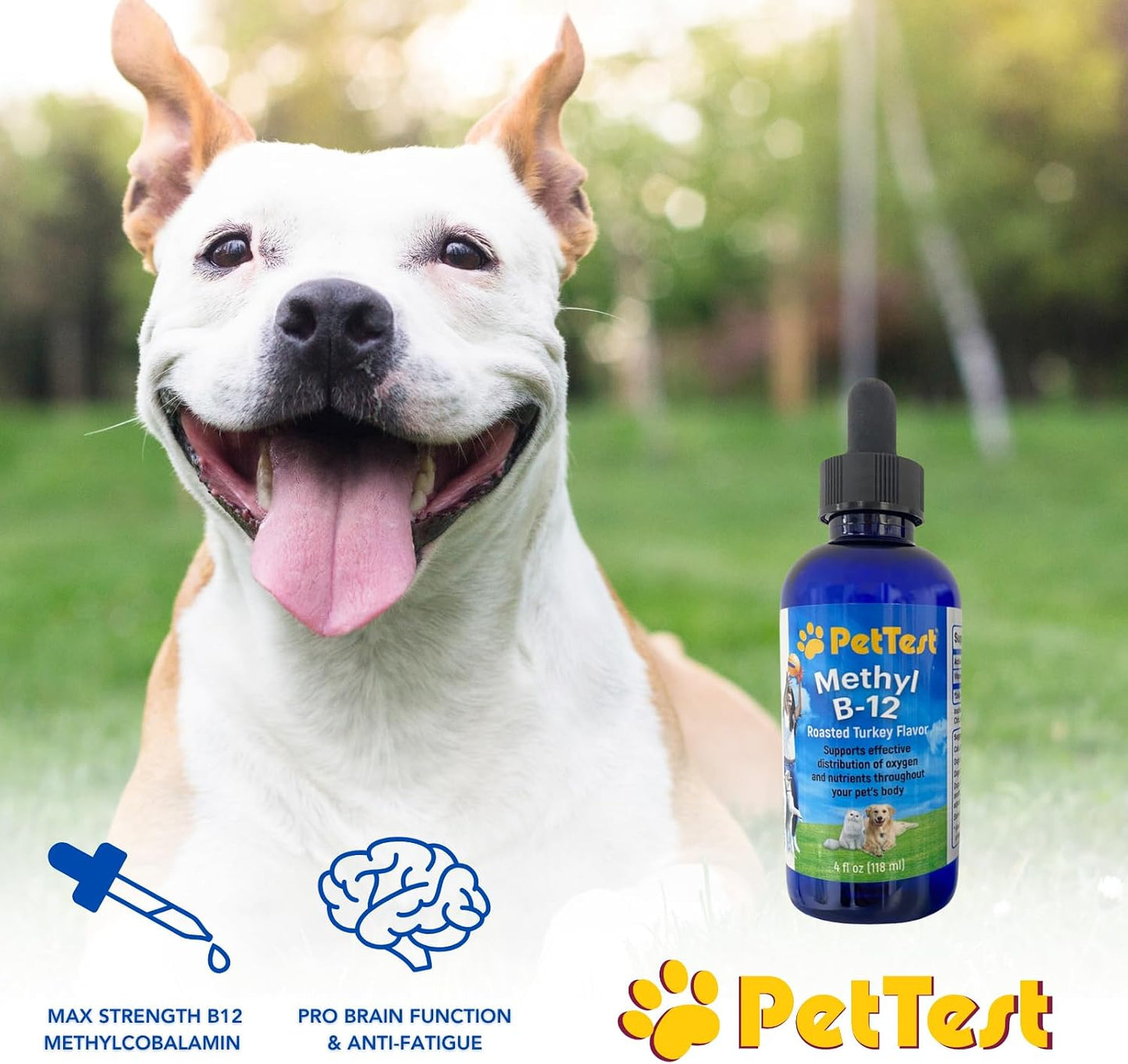PetTest Methyl B12 Vitamin Liquid Drops for Dogs and Cats - 118 ml (5000 mcg Methylcobalamin) - görsel 2