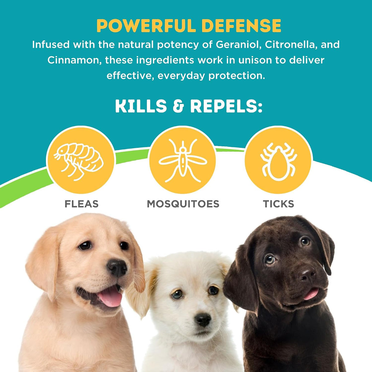 ONLY NATURAL PET 3-in-1 Wellness Kit for Small Dogs - görsel 4